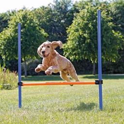 Trixie Agility häckhopp med justerbar höjd